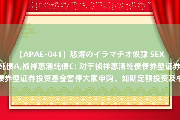 【APAE-041】怒涛のイラマチオ奴隷 SEXコレクション 祯祥惠涌纯债A,祯祥惠涌纯债C: 对于祯祥惠涌纯债债券型证券投资基金暂停大额申购、如期定额投资及相似转入业务的公告