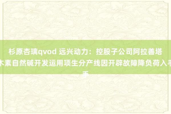 杉原杏璃qvod 远兴动力:控股子公司阿拉善塔木素自然碱开发运用项生分产线因开辟故障降负荷入手