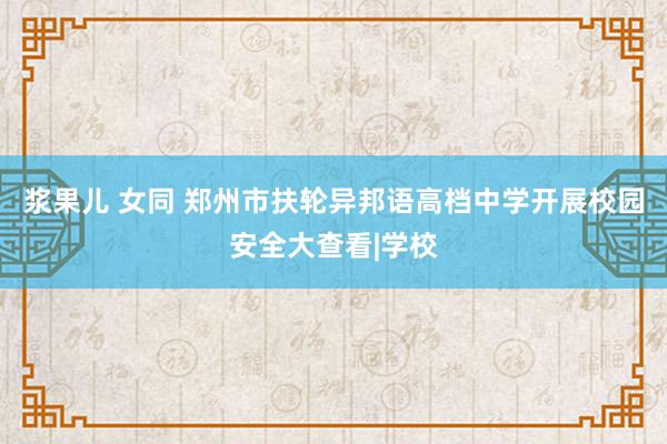 浆果儿 女同 郑州市扶轮异邦语高档中学开展校园安全大查看|学校
