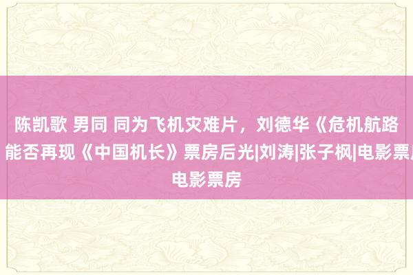 陈凯歌 男同 同为飞机灾难片，刘德华《危机航路》能否再现《中国机长》票房后光|刘涛|张子枫|电影票房