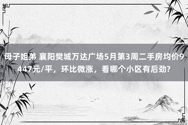 母子姐弟 襄阳樊城万达广场5月第3周二手房均价9447元/平，环比微涨，看哪个小区有后劲?