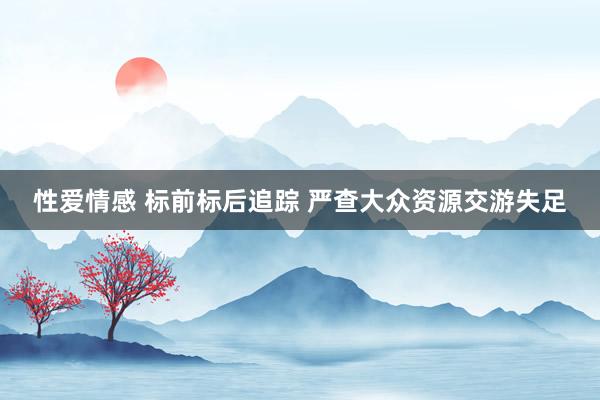 性爱情感 标前标后追踪 严查大众资源交游失足