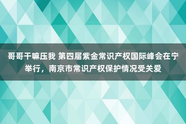 哥哥干嘛压我 第四届紫金常识产权国际峰会在宁举行，南京市常识产权保护情况受关爱