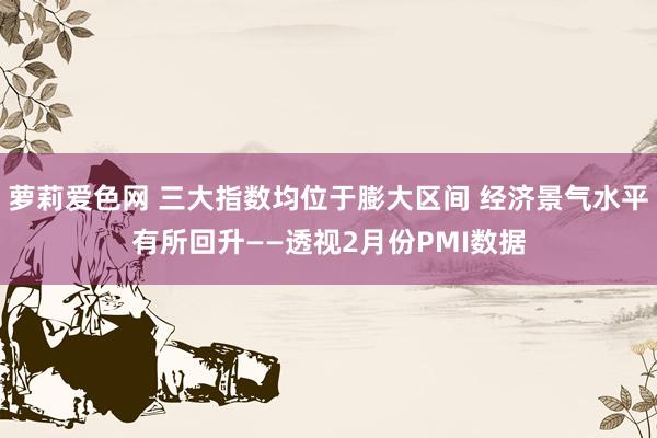 萝莉爱色网 三大指数均位于膨大区间 经济景气水平有所回升——透视2月份PMI数据