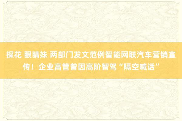 探花 眼睛妹 两部门发文范例智能网联汽车营销宣传！企业高管曾因高阶智驾“隔空喊话”