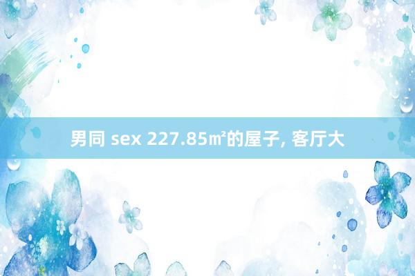 男同 sex 227.85㎡的屋子， 客厅大