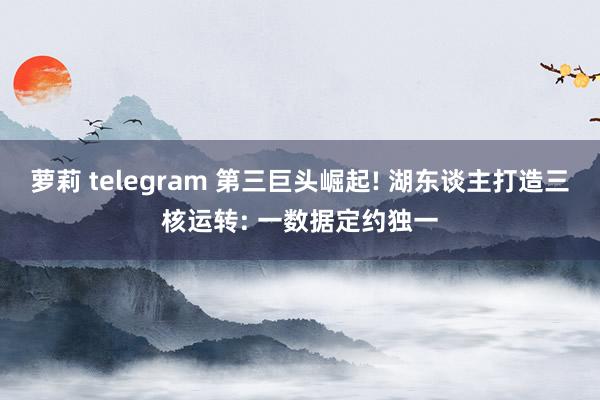 萝莉 telegram 第三巨头崛起! 湖东谈主打造三核运转: 一数据定约独一